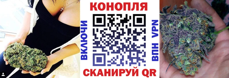 Цена Новозыбков мега как зайти  Гашиш  Героин  Конопля  Галлюциногенные грибы  Кодеин 