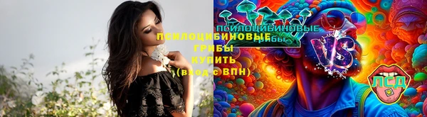 PSILOCYBIN Россошь