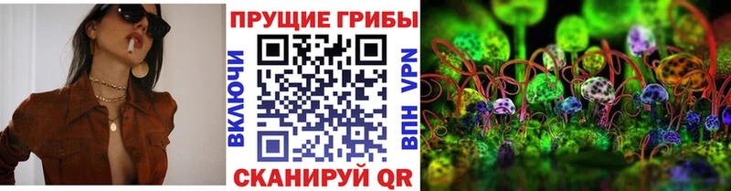Псилоцибиновые грибы MAGIC MUSHROOMS mega Новозыбков